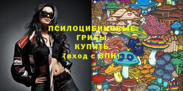 спайс Арсеньев